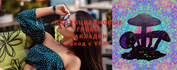 a pvp Алексин