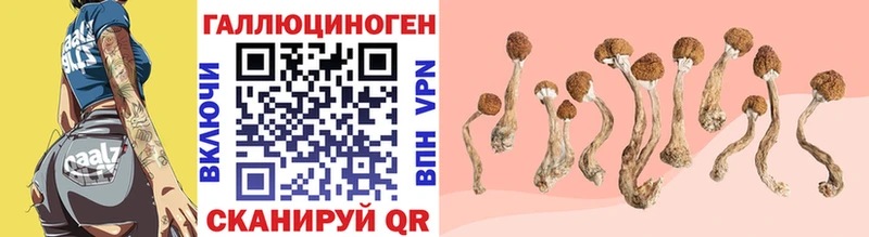 мориарти какой сайт  Саранск  Галлюциногенные грибы GOLDEN TEACHER 