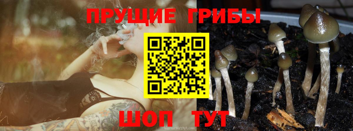 магазин продажи наркотиков  Псилоцибиновые грибы Psilocybine cubensis  Вход с VPN  Саранск  Галлюциногенные грибы мухоморы 